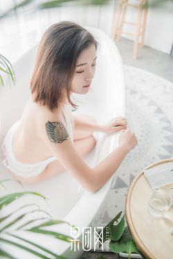 嫂子电视剧